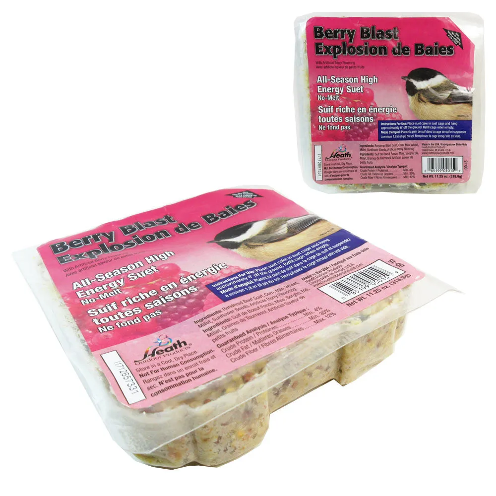 4 Pack Heath Outdoor Products All Season Suet Cake Bird Food Wild Treat 11.25 oz