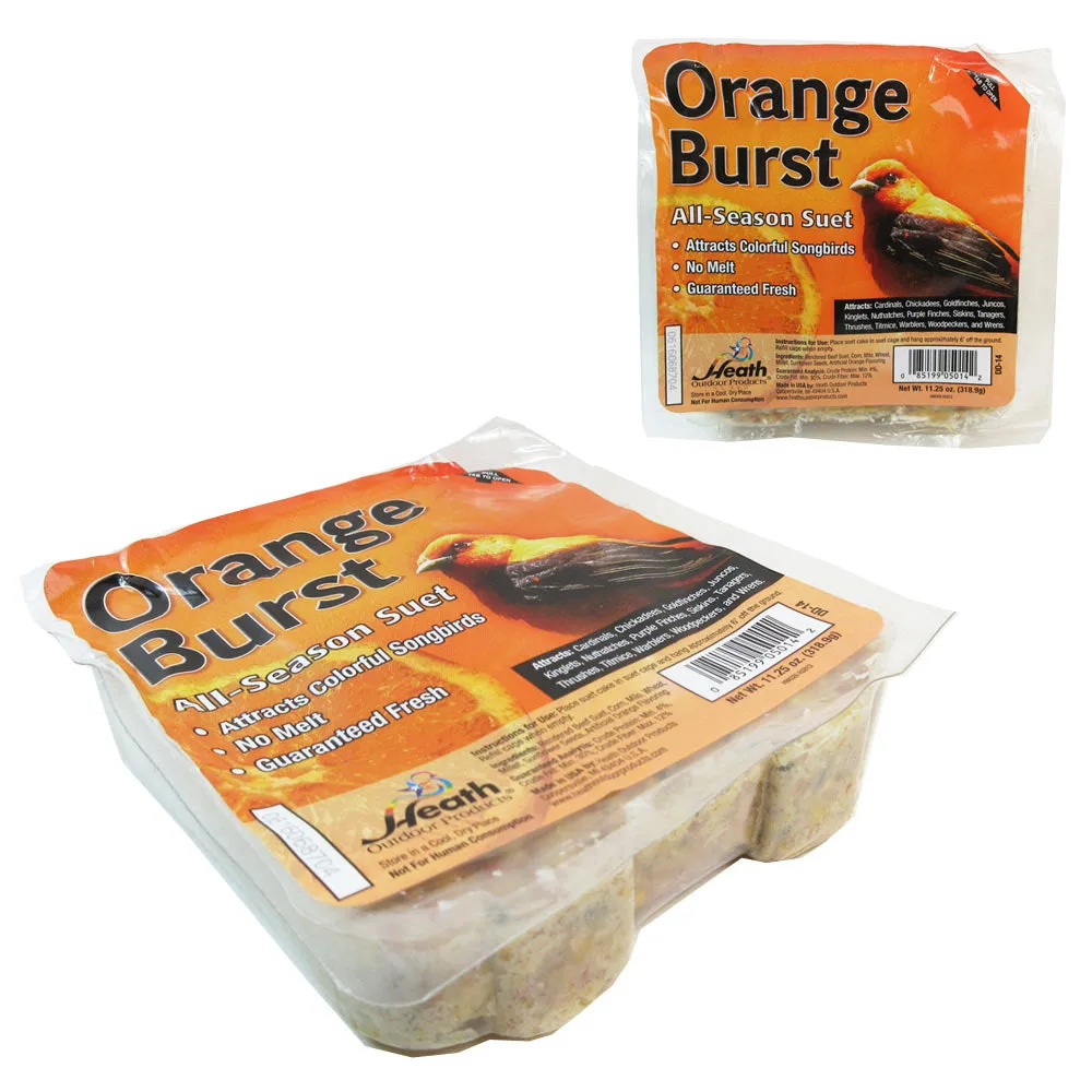 4 Pack Heath Outdoor Products All Season Suet Cake Bird Food Wild Treat 11.25 oz