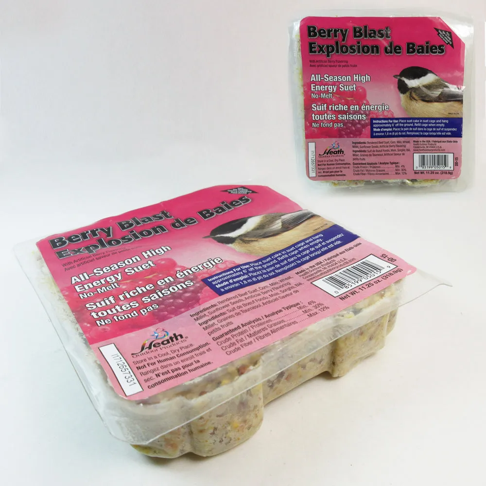 5 Pack All Season Suet Cake Bird Food Heath Outdoor Products Wild Treat 11.25 oz