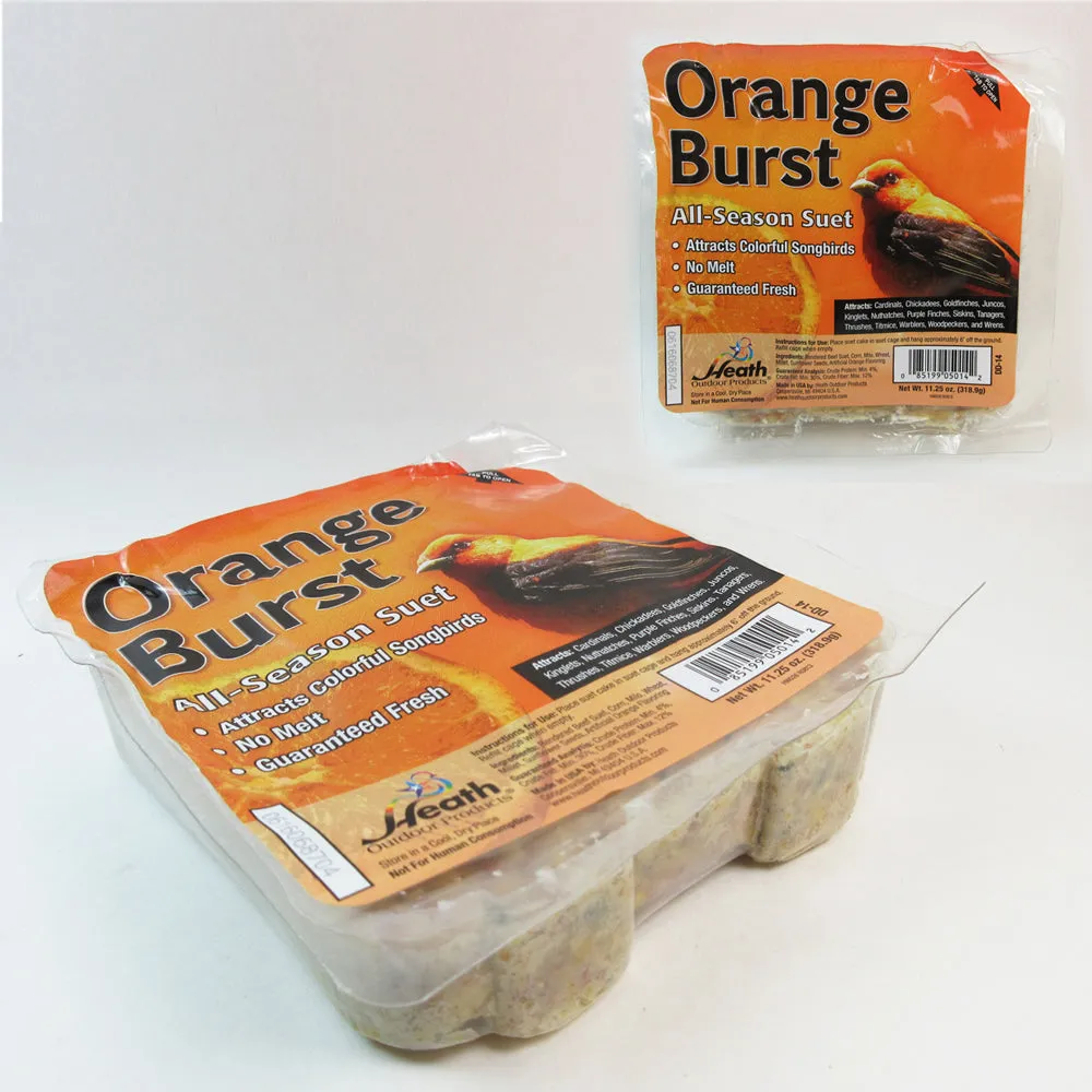 5 Pack All Season Suet Cake Bird Food Heath Outdoor Products Wild Treat 11.25 oz