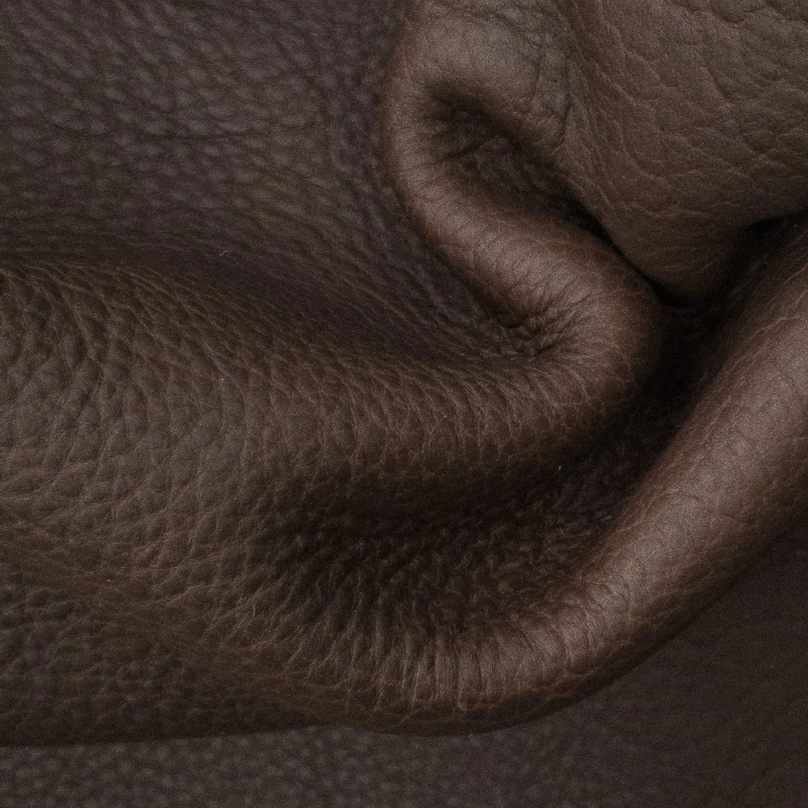Check-In Chocolate, 7-9 oz, 12-23 SqFt, Flyin' Bison Sides and Project Pieces
